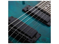 Schecter Schecter